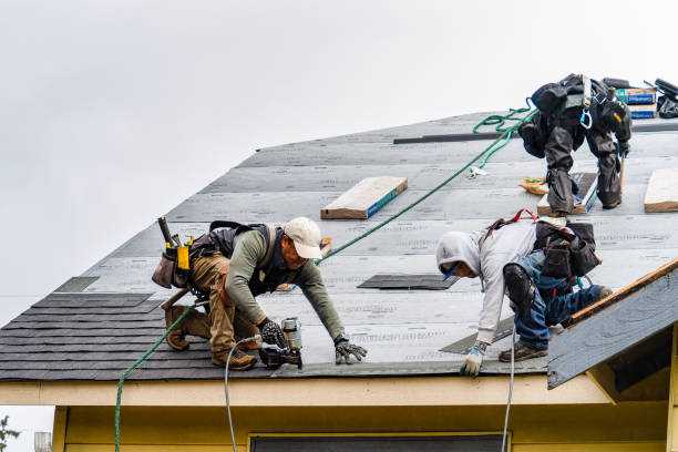 Professional Roofing technician working in Robins, IA